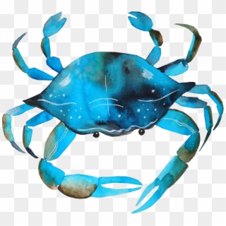 Blue Crab Png - Blue Crab Png Watercolor Clipart
