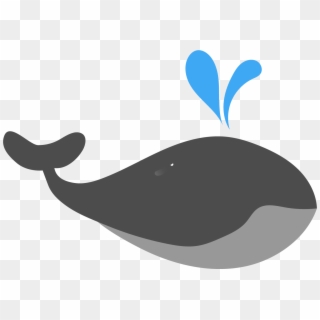 Beluga Whale Png - Cá Voi Phun Nước Clipart