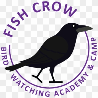 Fish Crow - American Crow Clipart