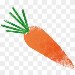 Carrot - Baby Carrot Clipart