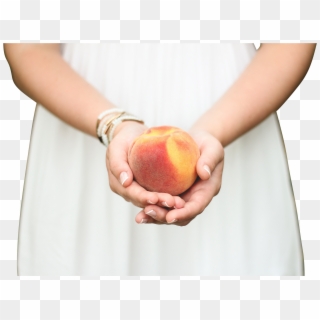 Peach In A Girl's Hands - Peach In Hands Clipart