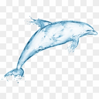 Jumping Dolphin - Common Bottlenose Dolphin Clipart