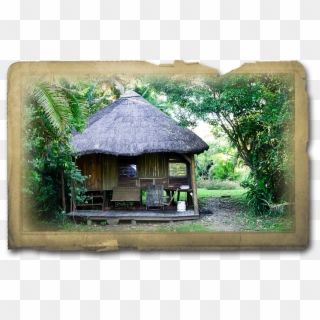 Yellowwood State Forest , Png Download - Thatching Clipart