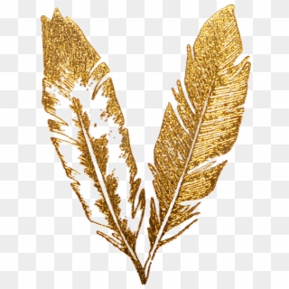 Gold Feather Png - Gold Feather Transparent Clipart