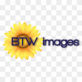 Btw Images, Llc - Sunflower Clipart