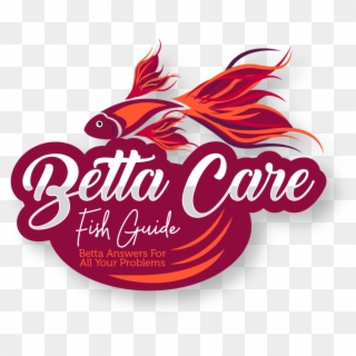 Betta Care Fish Guide - Graphic Design Clipart