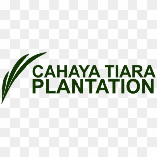 Pt Cahaya Tiara Plantation - Parallel Clipart