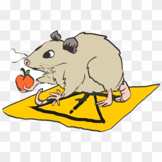 The Caution Possum Doesn't Quite Get It, But He's Trying - Mouse Clipart