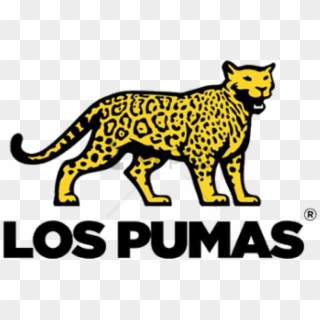 Free Png Download Los Pumas Rugby Logo Png Images Background - Argentina Rugby Logo Clipart
