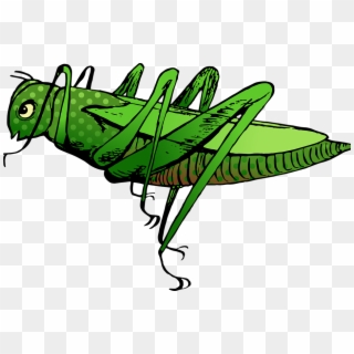 Toxic Antipredator Defense - Locust Cartpom Clipart