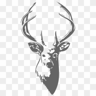 Drawing Elk Head - Munster Rugby Tattoo Clipart