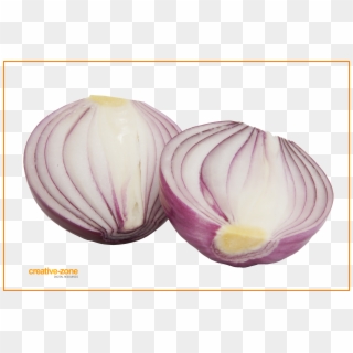 Red Onion Sliced Transparent - Red Onion Clipart