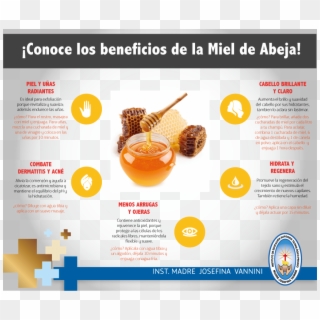 La Miel De Abeja Es Uno De Los Productos Naturales - Online Advertising Clipart