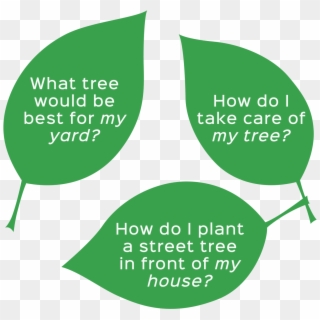 Street Tree Png Clipart