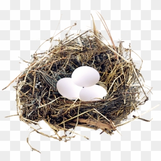 Eggs In A Nest Png - Poultry Clipart