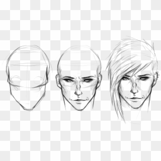 Anime Face Anatomy Drawing Clipart