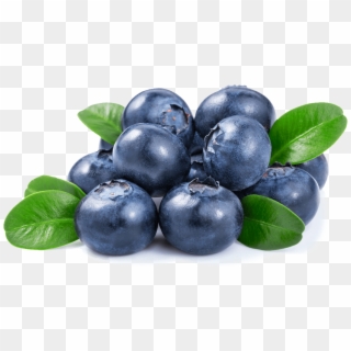 Blueberries Png - Blueberry Png Clipart