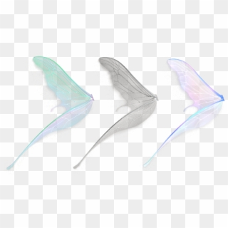 Realistic Fairy Wings Png - Fish Clipart