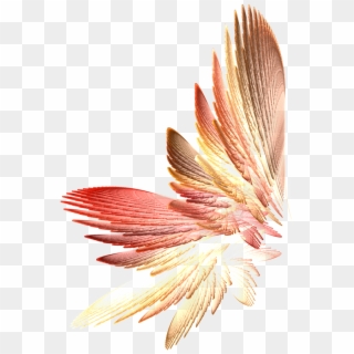 Tinkerbell Wings Png Download Clipart