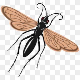 This Free Icons Png Design Of Tarantual Hawk Wasp Clipart