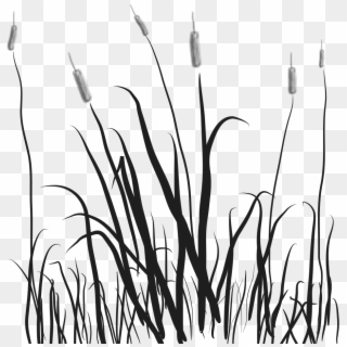 Swamp Clipart Grassland - Transparent Clipart White And Black Grass - Png Download