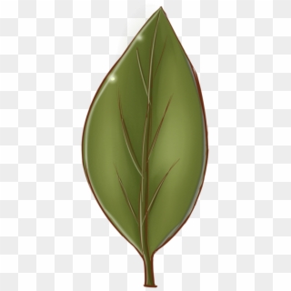 It's A Leaf By Cartproductions On Clipart Library - Cartoon Leaf Texture Png Transparent Png
