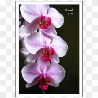 White Orchids Thank You For Being Part Of My Journey - Thank You Card Orchid Flowers Clipart