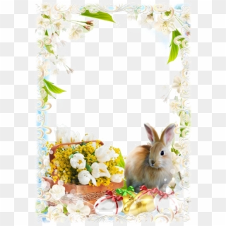 Easter Frames Transparent Image - Transparent Easter Frame Clip Art - Png Download