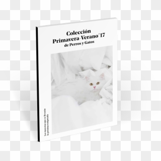 Guía Con La Colección Primavera '17 De Perros Y Gatos - Domestic Short-haired Cat Clipart