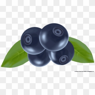Blueberry Clipart Fresh - Fruits Vector - Png Download