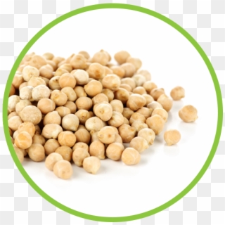 Chickpea Md Circle - Sex Power Increase By Food Clipart