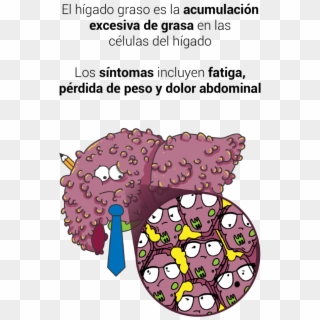 Hígado Graso - Cartoon Clipart