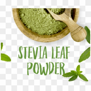 Stevia Leaf Powder - Stevia Prozis Clipart