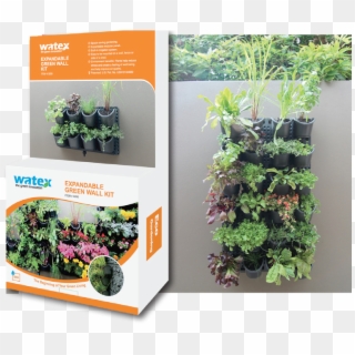 Green Wall Vertical Garden System - Growing Plants Up A Wall Clipart