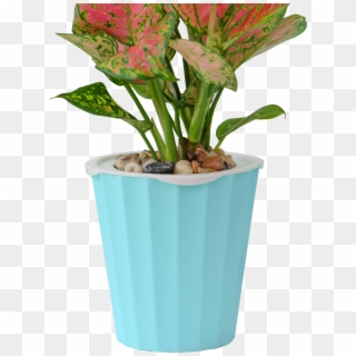 Cheap Fiber Clay Cement Vertical Garden Large Flower - Flowerpot Clipart