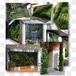 Miami Vertical Gardens And Green Living Walls, Portfolio, - Arch Clipart