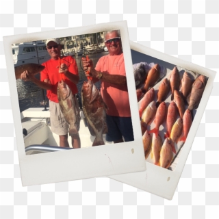 Snapper Fishing Charter In Fort Myers - Box Clipart