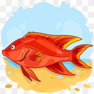 Red Snapper - Garibaldi (fish) Clipart