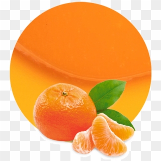 Mandarin Concentrate - Tangerine Fruit Png Clipart