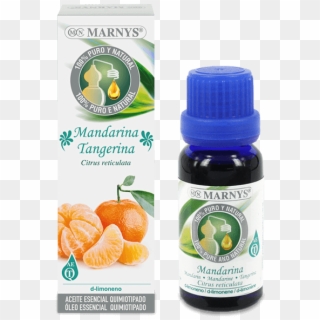 Mandarin Essential Oil - Aceite Esencial De Romero Marnys Clipart