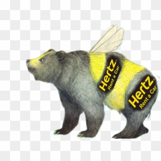 #bee #hertz #usro #abelha #bear - Bumble Bear Clipart