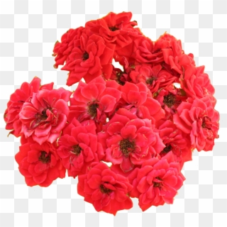 Flores Brancas Rosas Vermelhas - Bouquet Clipart