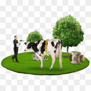 Alpura Nuestras Vacas Bienstar - Dairy Cow Clipart