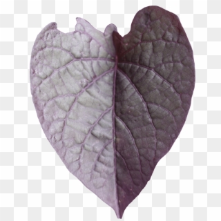 Click - Vitis Clipart