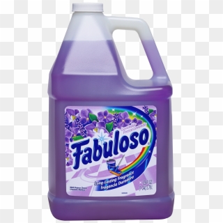 Norton Secured - Fabuloso Cleaner Clipart