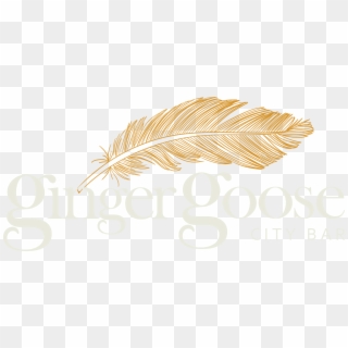 England Clipart Feather - Png Download