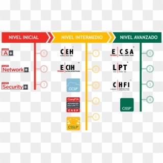 Obtener Una Certificación De Ti Puede Ayudarte A Comenzar - Comptia Network+ Clipart
