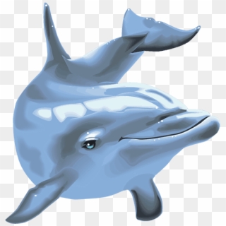 Dolphin´s Pearl™ Deluxe - Common Bottlenose Dolphin Clipart