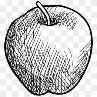 Drawing Apple Sketch - Apple Vector Sketch Art Clipart