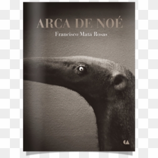 De La Serie “arca De Noé” - Giant Anteater Clipart